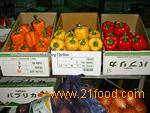 FRESH COLOR BELL PEPPER(CAPSICUM)