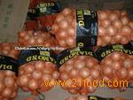  FRESH   ONION ( YELLOW  AND  RED )