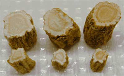  Ginseng   Extract 