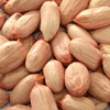 peanut / Groundnut kernel