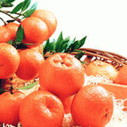 Fresh Mandarin Orange (Lokam)